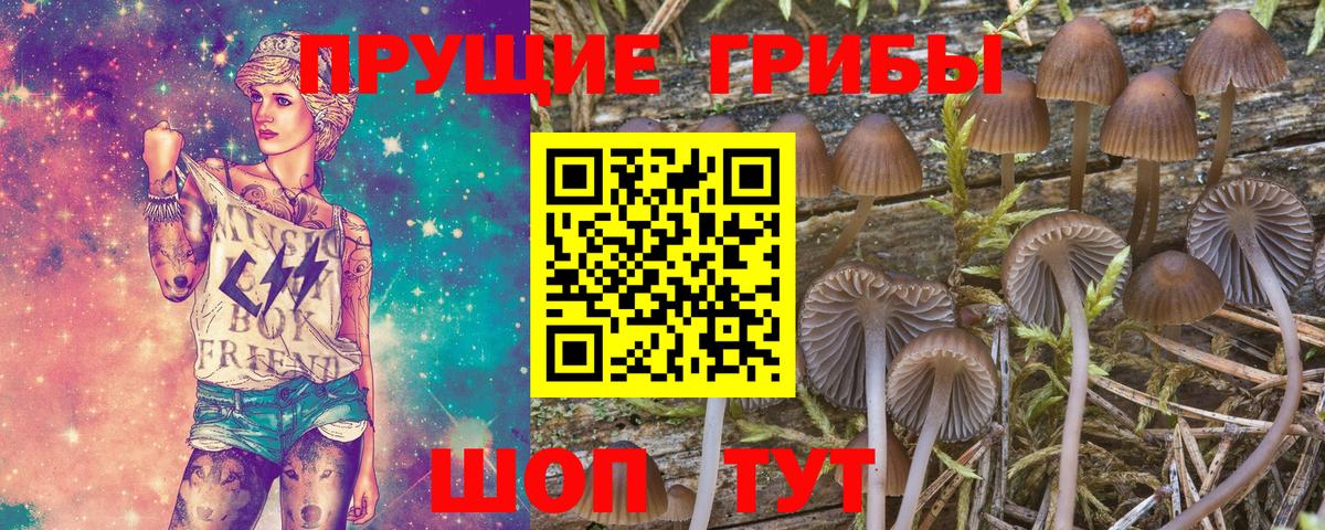 Галлюциногенные грибы GOLDEN TEACHER  Вход с VPN  Озёрск 